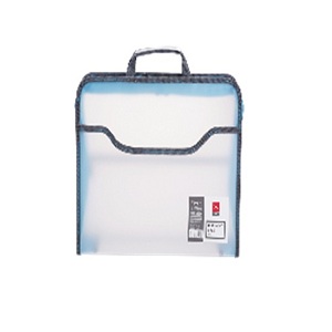 Document Case in Various Colors